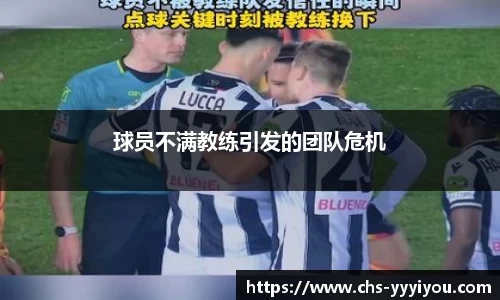 yy易游体育官网